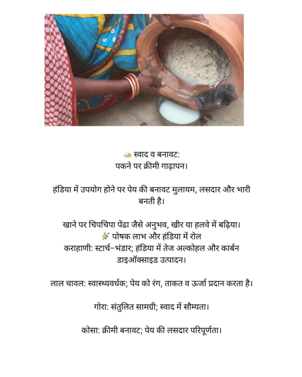 How to make rice beer - History - Process - Culture - Economics - Image 5
