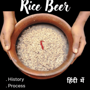 How to make rice beer - History - Process - Culture - Economics