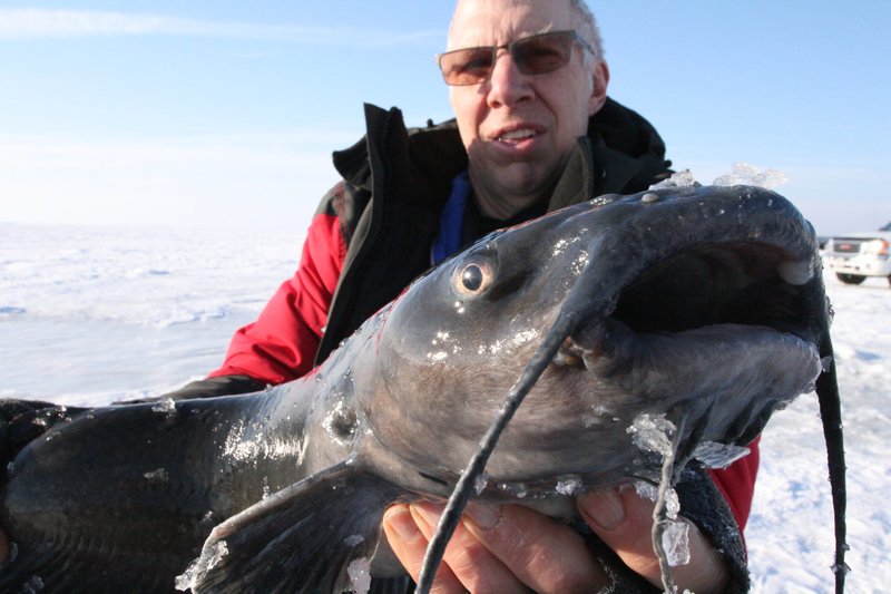 Hook into Action with Evolution's Ice Fishing Casino Game Demo UK - overview